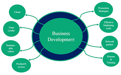 Business Development System Business Development - Konzept Domains